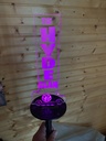 Solar Grarden/Grave Light (copy)